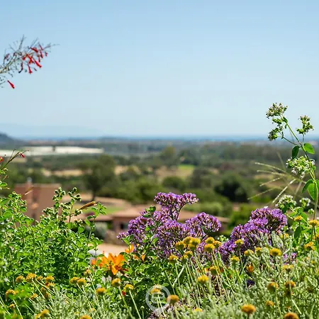 Erika Semesterbostad Is Molas